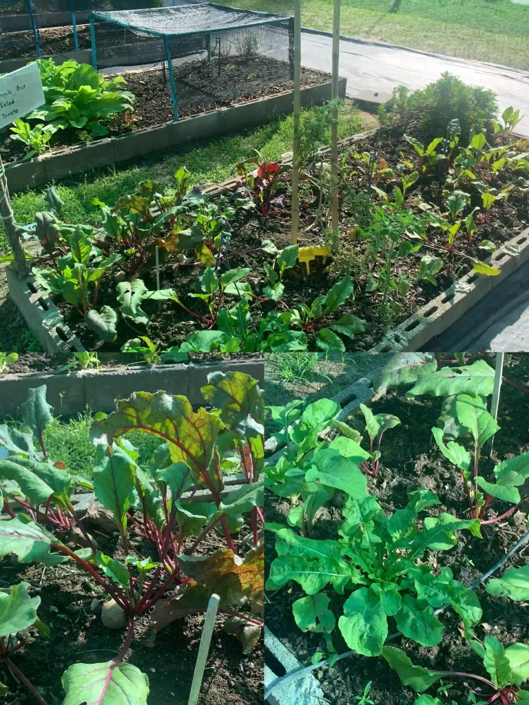 0C3DA73E 1B91 4688 9891 746F3DEF9F44