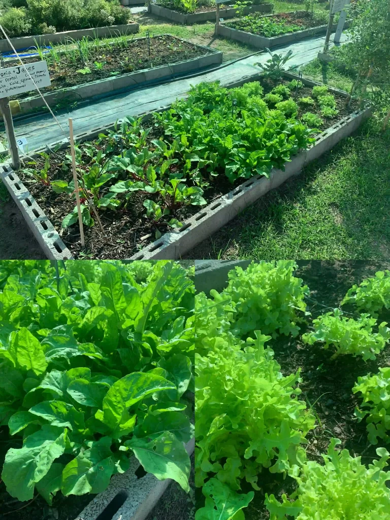 10ebc990 6f84 4953 86b6 B980fd50d31b