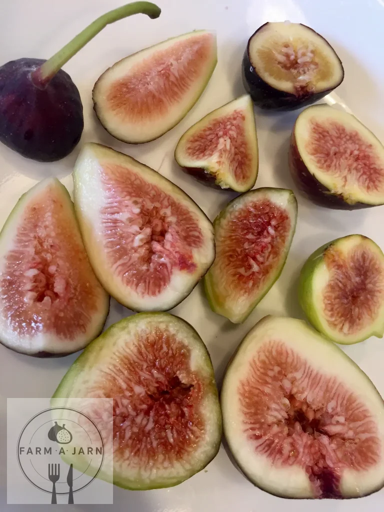 061B0A48 D399 4987 9773 16A8245C9834