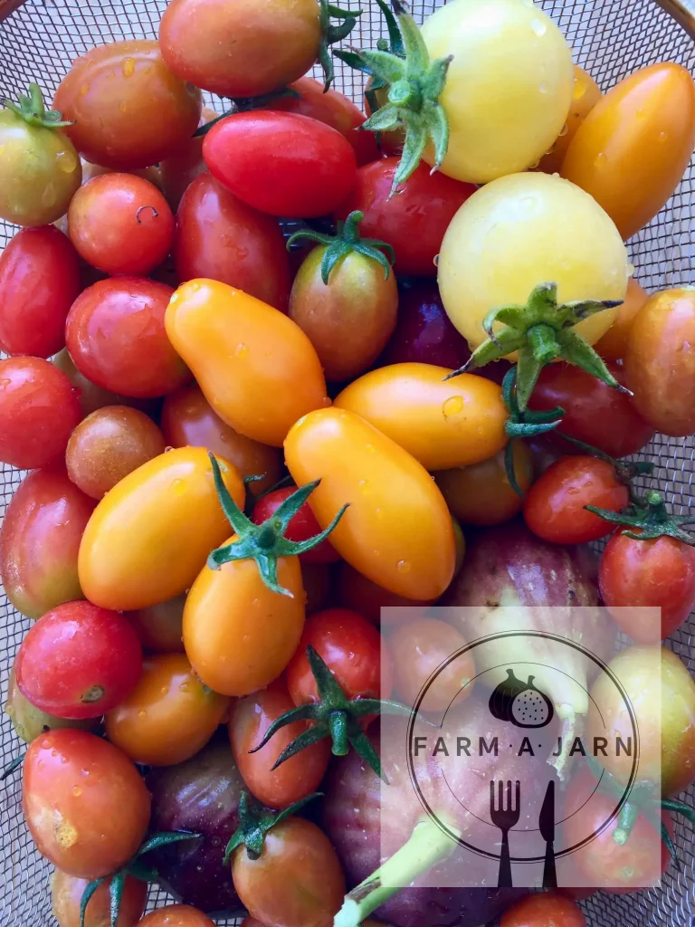 278907811 758644882170776 5603466471615562004 n