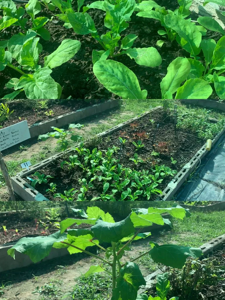 33f16b0f D97d 493b A452 Ec56091d3cfe