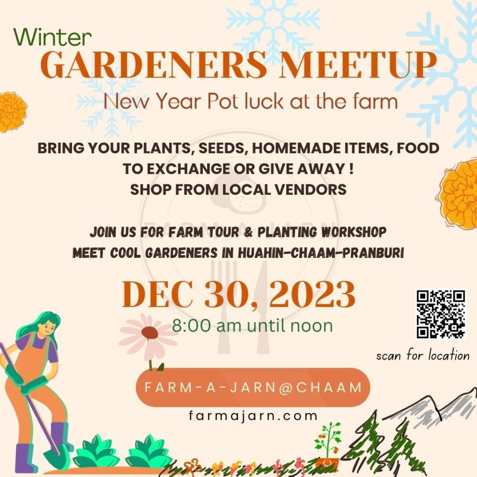 382603901 337538998934977 8431987044379447369 N