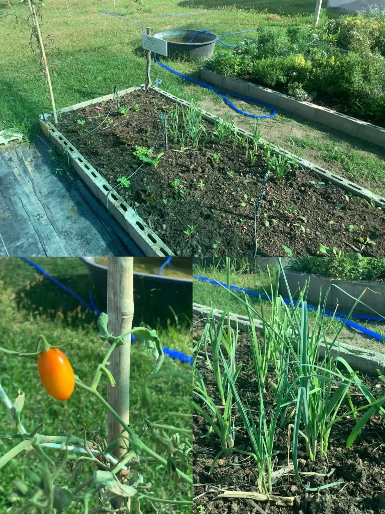 387e7ef7 Ca4f 4547 B8da Edc4bd600487