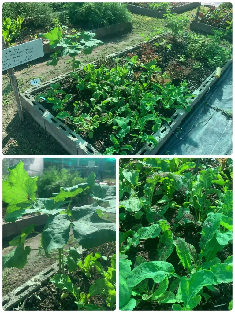 3A6A5106 5AD1 4428 85CA 00071FDCA0F6