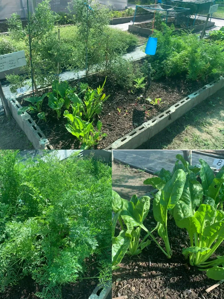 55d22698 06e2 4d58 9648 Fdf94fb4a65c