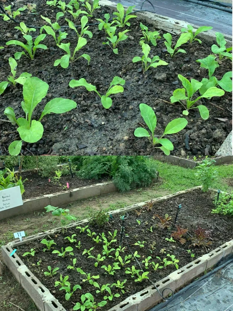 5A38BAB1 D37E 4BED 86DC 034C80D978B8