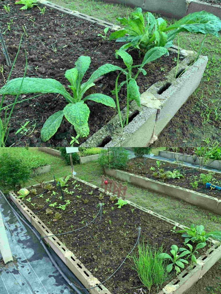 637771ed Faea 46d4 8291 1250dc632dc1