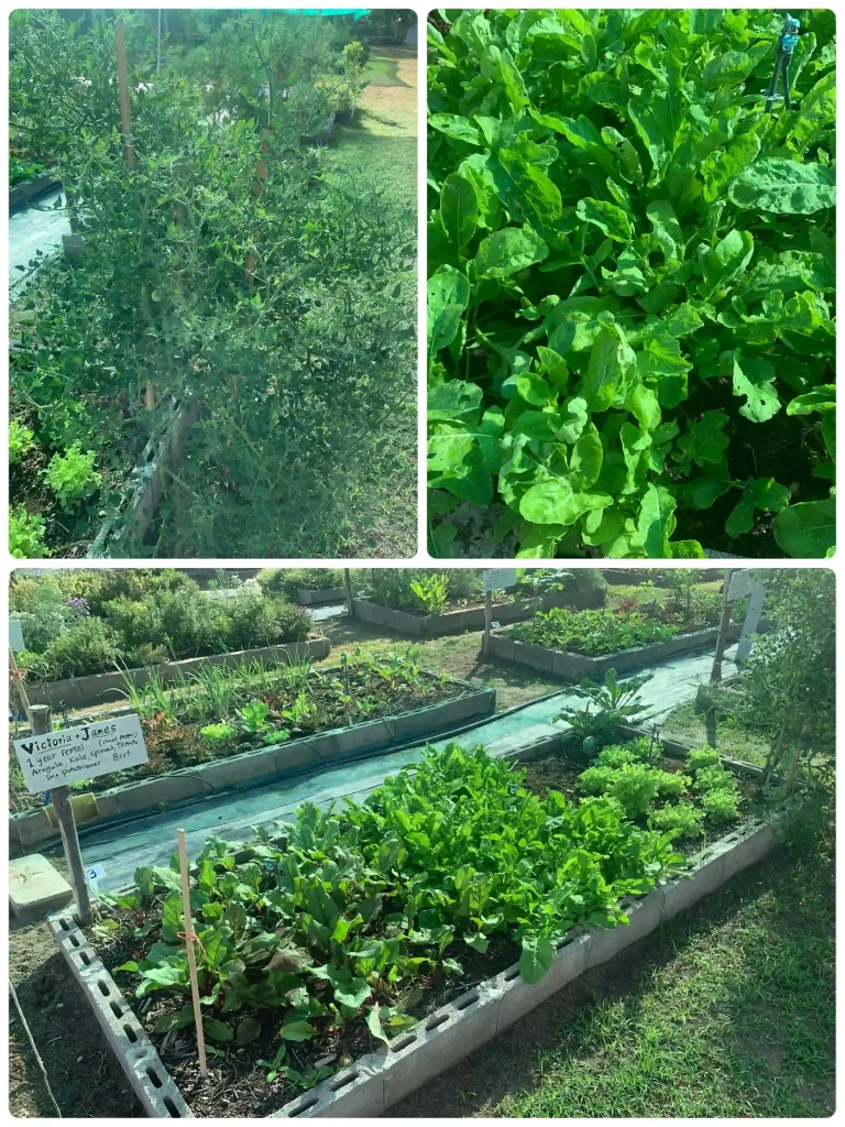 80fb7366 58d0 442a B084 8d2c2f28b4ac