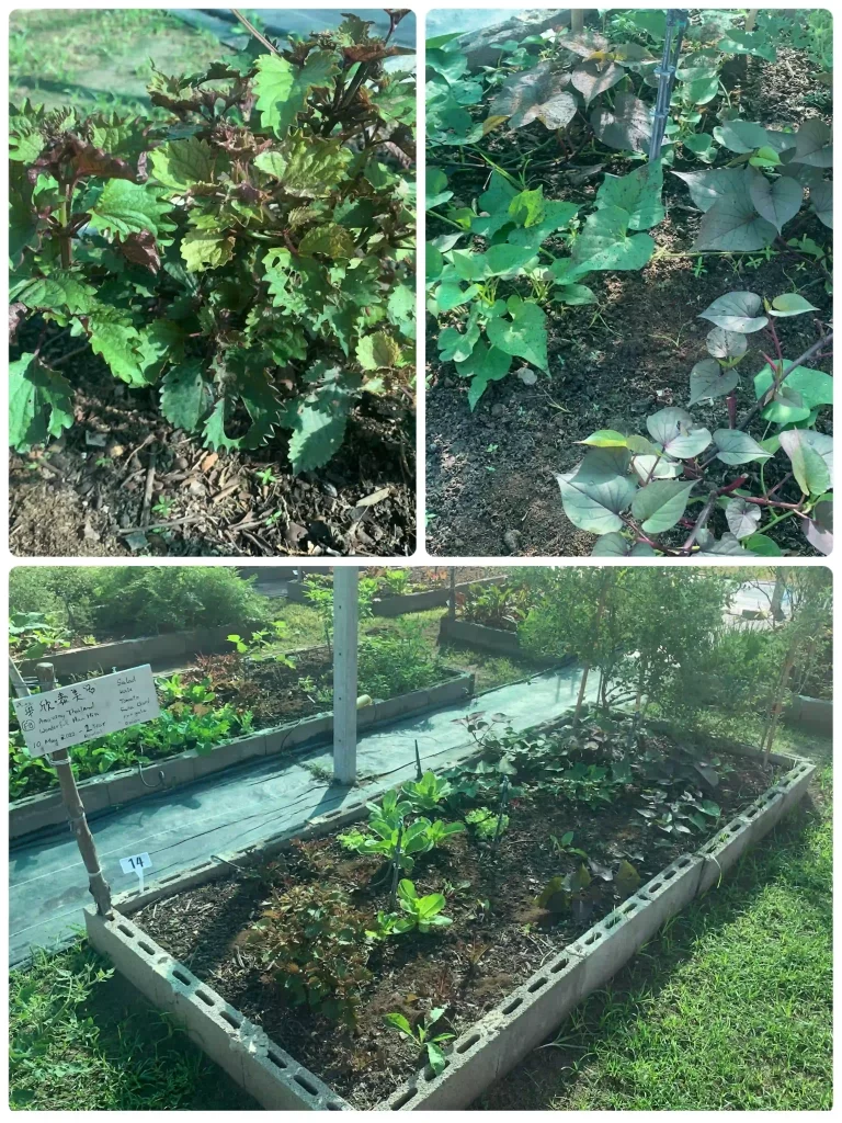 97e4c508 F958 4840 8986 0626f41f0fc0