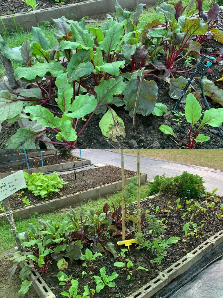 9E93C242 42A7 4C07 962C A422815162F4