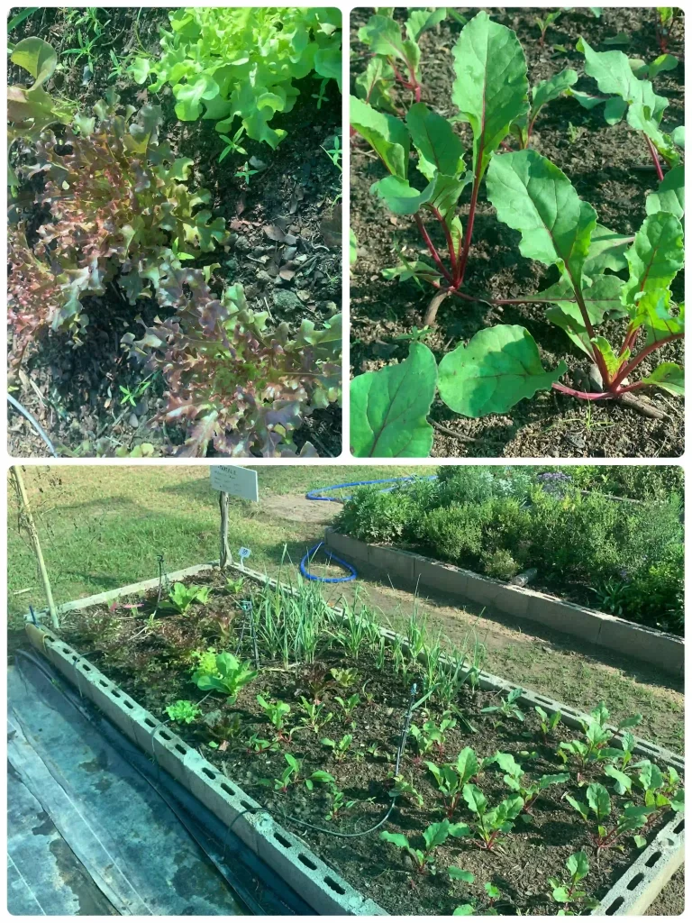 C988d57b E6d5 4ffd 8bf4 35ca1c246d6b