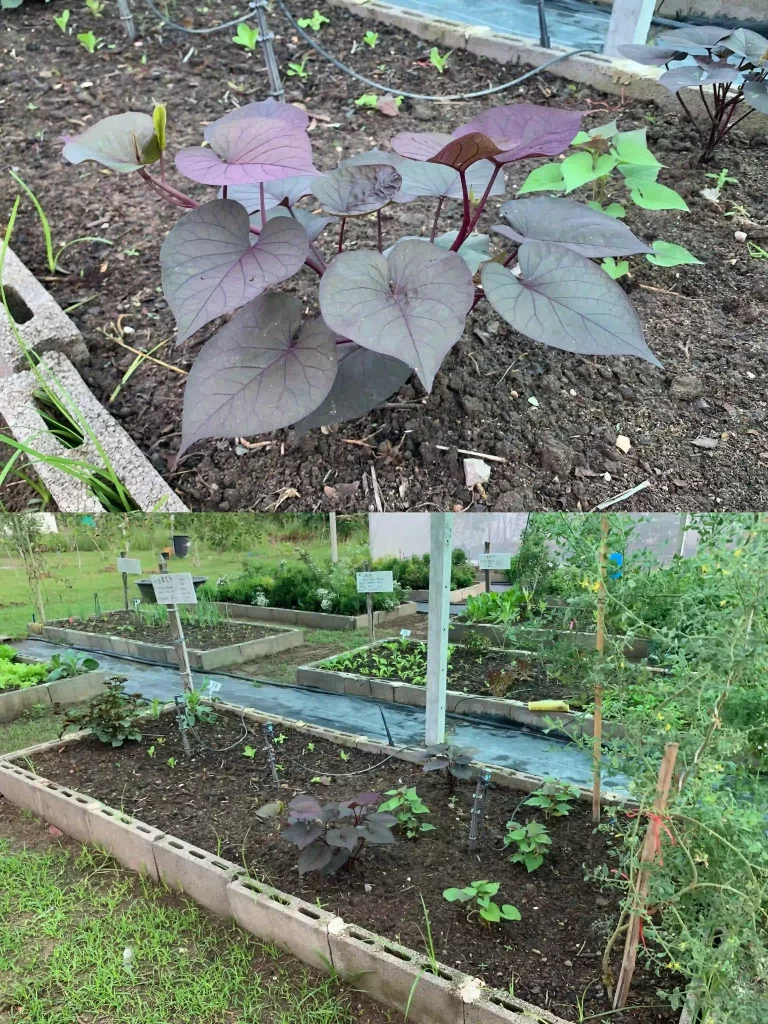 Eab8aa63 671d 443c 9a2f 7e0b162b507f