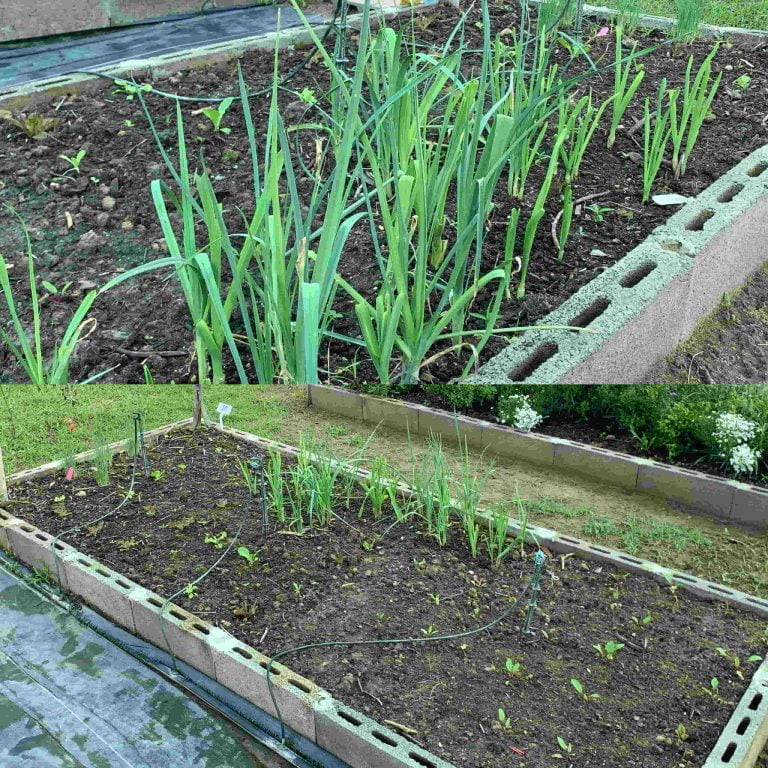 F3ef452f 84e3 44f3 9272 B53ceb42b594