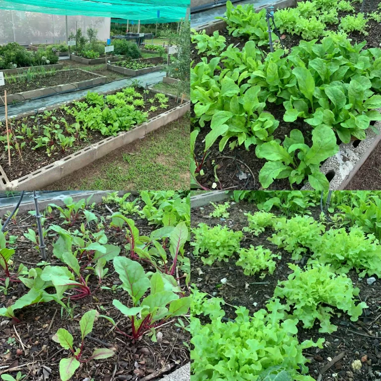 F6bc6ca7 D1df 4ab0 81e4 4f0ab01214b9